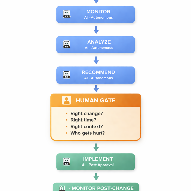 Human Framework.jpeg